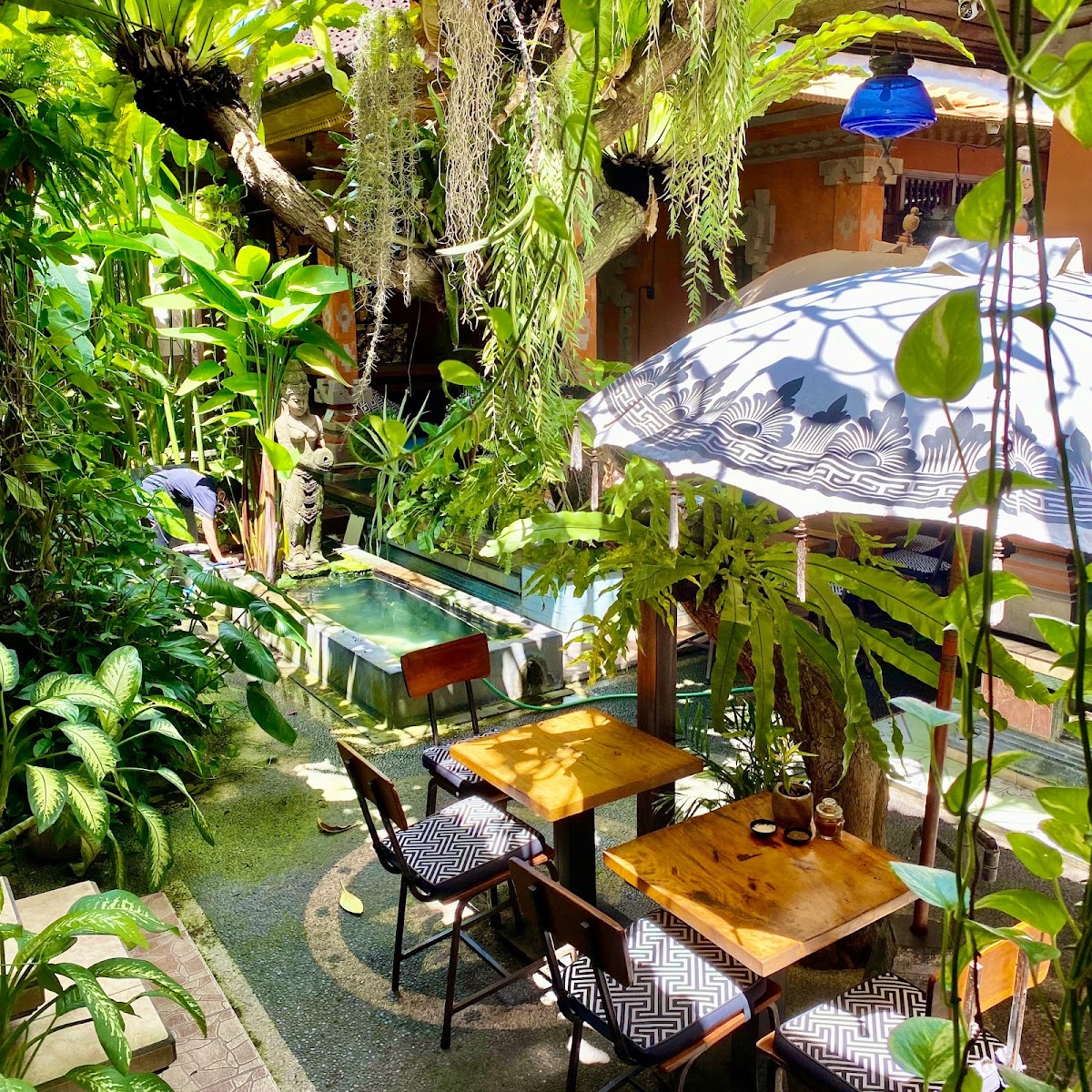 Cafe Vida healthy organic restaurant in Berawa Canggu